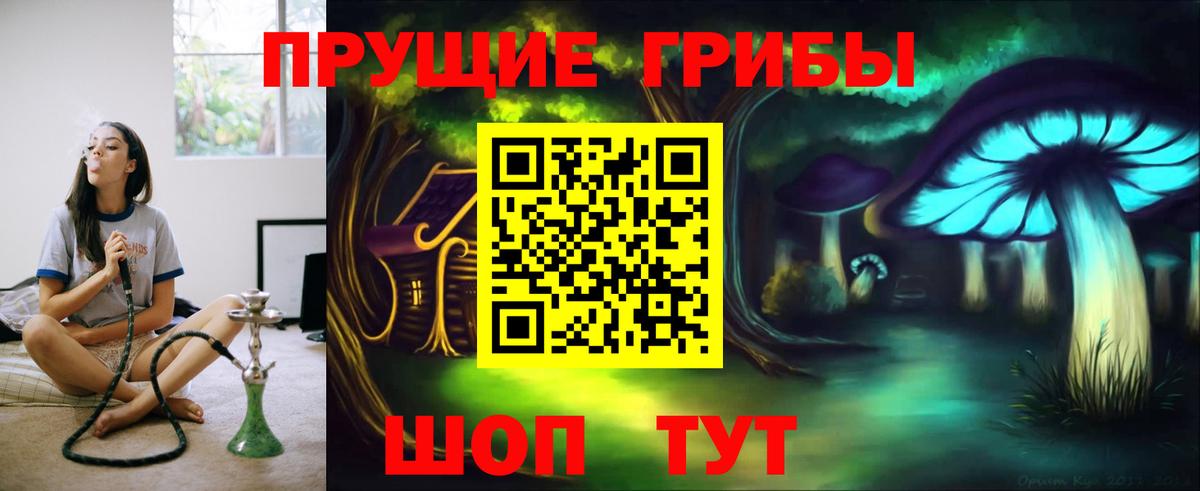 цена наркотик  Вход с VPN  Санкт-Петербург  Псилоцибиновые грибы Magic Shrooms 